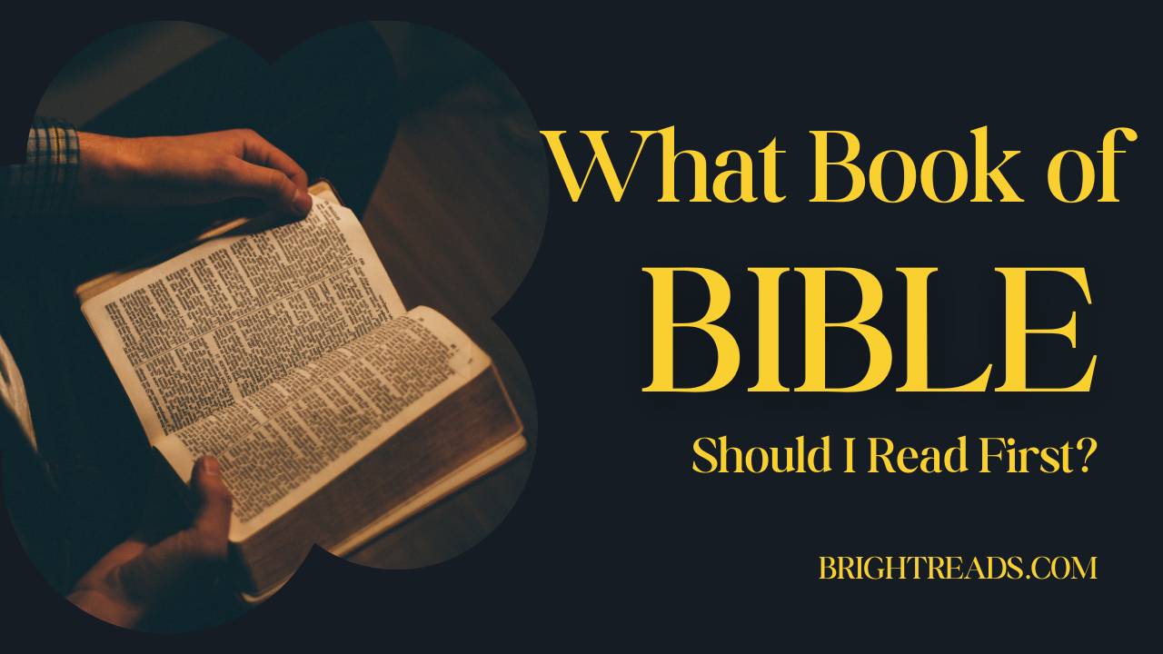 What Book of the Bible Should I Read?