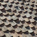 Roof's Lifespan