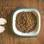 Dietary Needs When Picking Dog Food