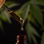 understanding and unlocking CBD and THC potential